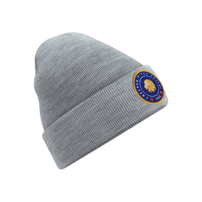 Chelsea Pitch Owners 1993 Beanie
