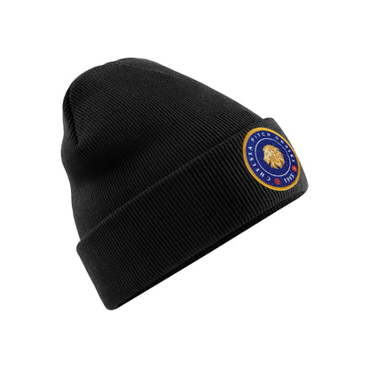 Chelsea Pitch Owners 1993 Beanie