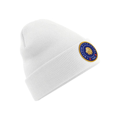 Chelsea Pitch Owners 1993 Beanie